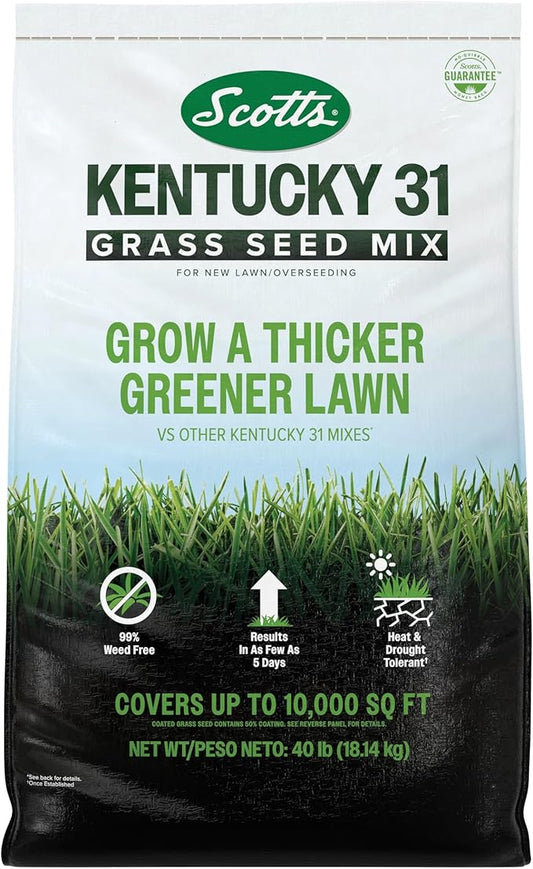 Scotts® Kentucky 31 Grass Seed Mix, for New Lawns or Overseeding, Results in as Few as 5 Days, 40 lbs.