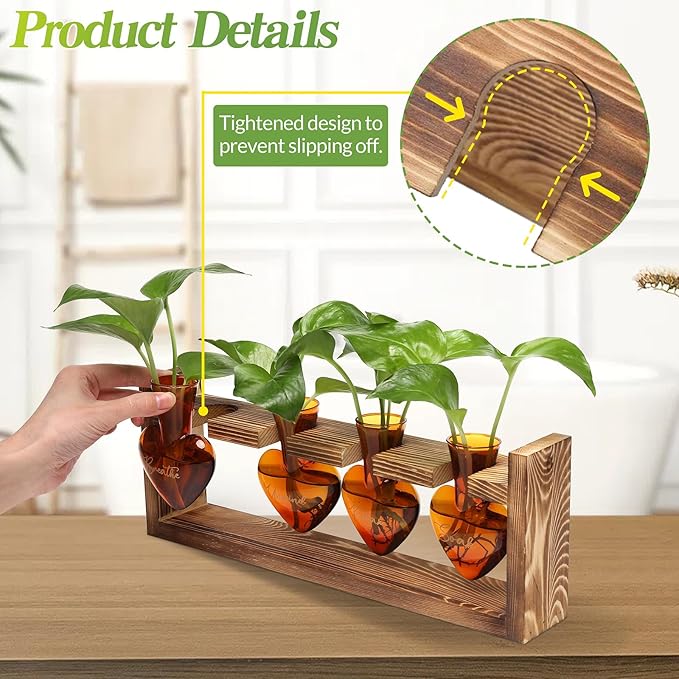Plants Propagation Stations Plant Terrarium Kit for Bathroom Glass Planters for Indoor Plants Bathroom Decor Accessories - Relax Soak Unwind Breathe