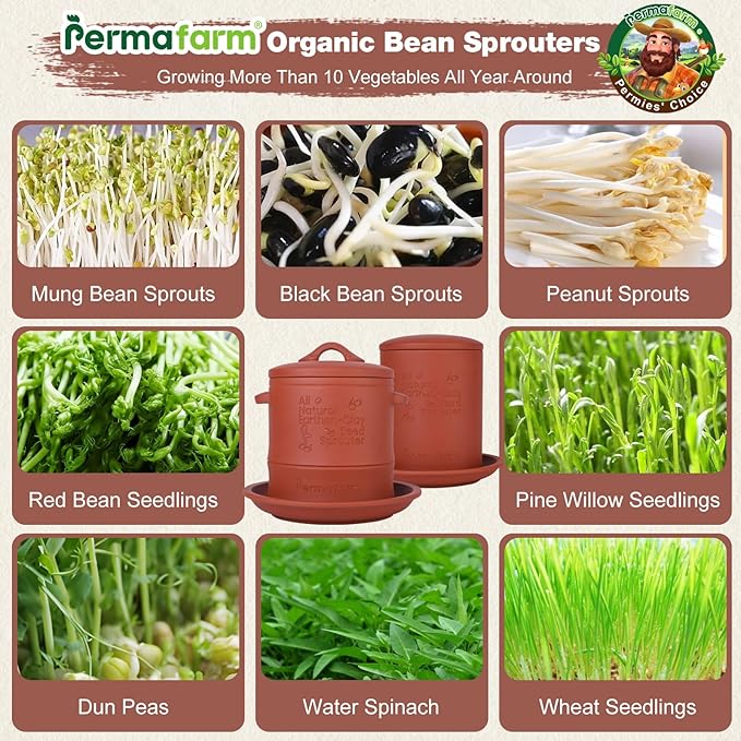 Permafarm® Organic Bean Sprouter, Natural Earthen-Clay Mung Bean Sprouter, Sprouts Growing Kit for Soybeans, Broccoli, Alfalfa & More | Lead-Free, Cadmium-Free (Small Size for Individuals or Couples)