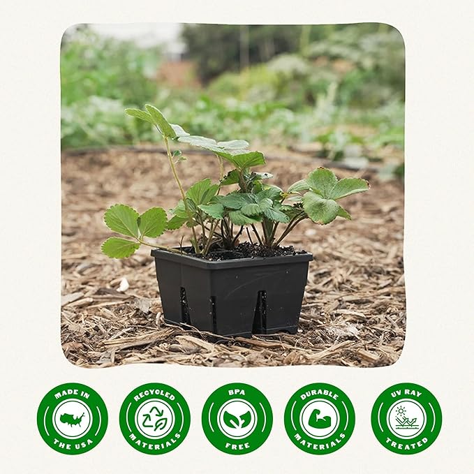 Epic Gardening Reusable Seed Starter Tray - 4 Cell 4"/32 Seedling Starter Trays - Easy Watering, Indoor Greenhouse, Plant Starter, Gardener-Friendly for Seedlings | UV-Treated & BPA-Free - Black