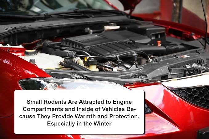 Mice/Mouse, Rat, Squirrel & Rodent Wire, Engine & Vehicle Protection Spray Prevents Chewing & Nesting for Cars, Trucks, RV’s, ATV’s. Great for Winter Protection. Ready to Use (128 Oz Gallon)