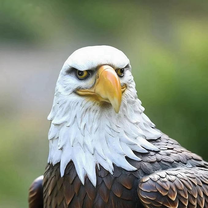 H:24.4 inch Bald Eagle Statue Outdoor, Large Realistic Eagle Sculpture for Garden Decor, Hand-Painted Resin Eagle Figurine, Majestic Yard Art and Patio Decoration