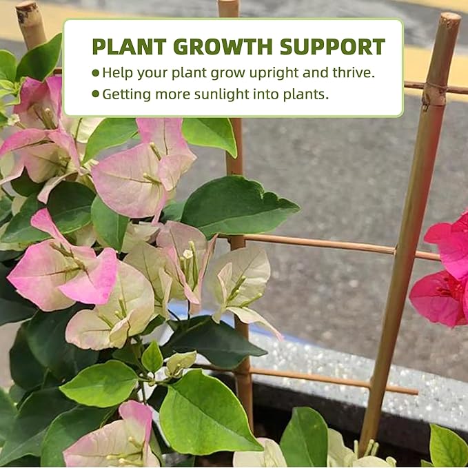 16Inch 5Pack Bamboo Trellis for Climbing Plants, Garden Ladder Trellis for Potted Plants Indoor, Fan Shaped Small Plant Support Trellis for HousePlants Ivy Vine Monstera 3-4