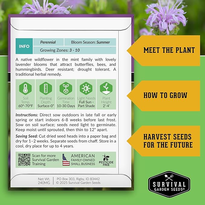 Survival Garden Seeds - Bergamot Herb (Bee Balm) Seed for Planting - 5 Packets with Instructions to Grow Monarda Fistulosa Wildflowers in Your Home Vegetable Garden - Non-GMO Heirloom Variety