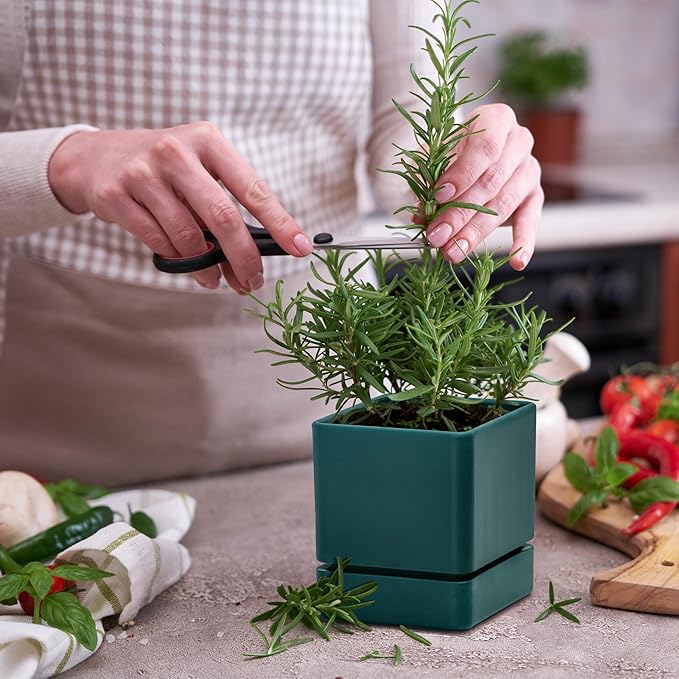 4 Inch Herb Planter Pot, Plastic Planter with Drainage Holes and Saucer, Modern Decorative Gardening Pot for Indoor Plants, Flowers, Herbs, Succulents, Green, Set of 1, 76-Y-C-1