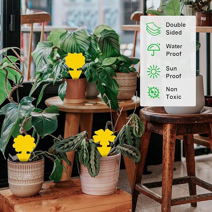 36 Pcs Flower Shape Sticky Traps for Fungus Gnat (Plants), Flying Insect, Whitefly and Fly, Yellow Sticky Insect Catcher Traps for Indoor/Outdoor, Kitchen & Plants, High-End Glue, Non-Toxic, 4 Shapes