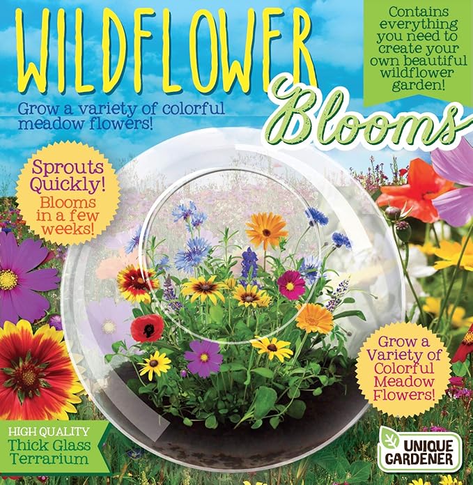 Blossom Your Own Wild Flower Glass Terrariums by Unique Gardener, Terrarium Starter Kit with Complete Supplies, Quick Blooms, Easy Care Ideal for Indoor Plant Home or Office!