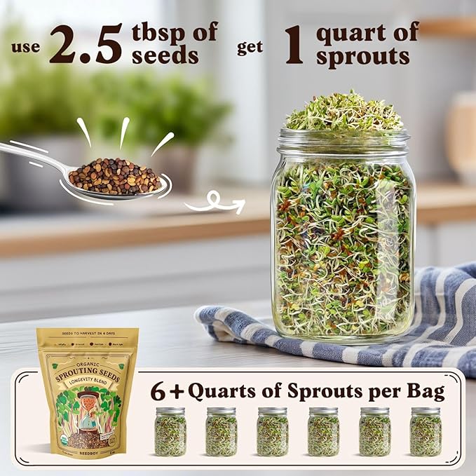 Seedboy Organic Sprouting Seeds - Longevity Blend- Non-GMO, USA Grown Microgreens Mix - Broccoli, Red Kale, Black Kale, Alfalfa - Makes Over 6 Quarts of Sprouts, 20 Servings (8 oz) (Longevity Blend)