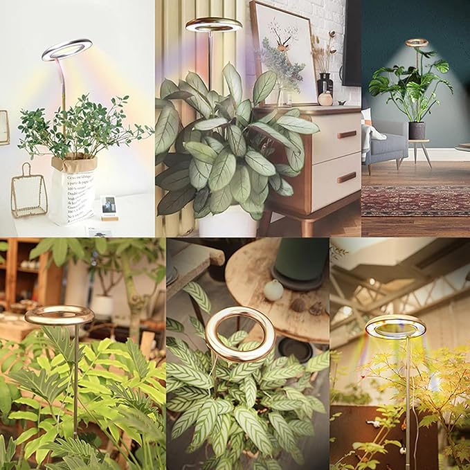 JCBritw LED Grow Light Floor Standing Adjustable Plant Lamp on Stand for Indoor Plants Dimmable with Timer Function