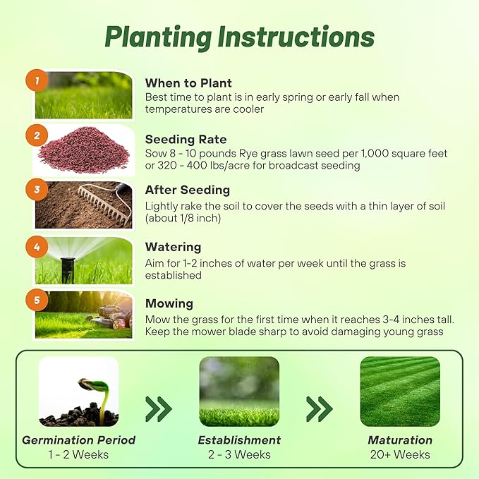 Outsidepride Fireball & Hattrick Rye Grass Seed Blend - 5 Lbs. Wear Tolerant, Fine Leaf Texture Perennial Rye Grass Seeds for Lawn, Sports Turf & More, OptiGrowth Coated for Better Establishment