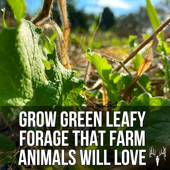 Dwight’s Pure Sugar Beet Seed for Deer, 6LB EcoPack, Planting Seeds Grow Whitetail & Turkey Hunting Food Plot Attractants, Winter Root Crop & Cold Tolerant Forage Feed Wildlife, No Coat