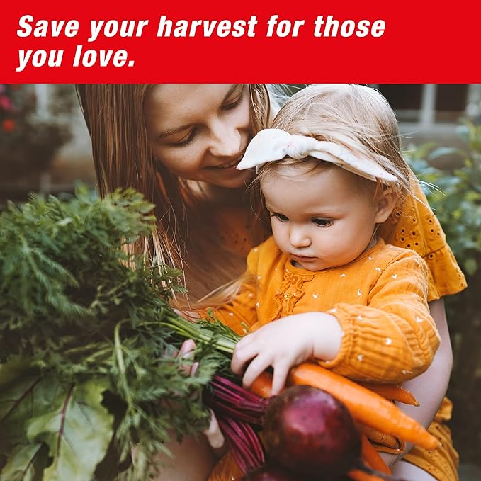 SWISSINNO Gopher & Vole Trap PRO SuperCat – 1 Tunnel Traps + 1 Install Kit – Dual Trigger Action for Voles & Field Mice – Easy Setup, Reusable, Made in Europe