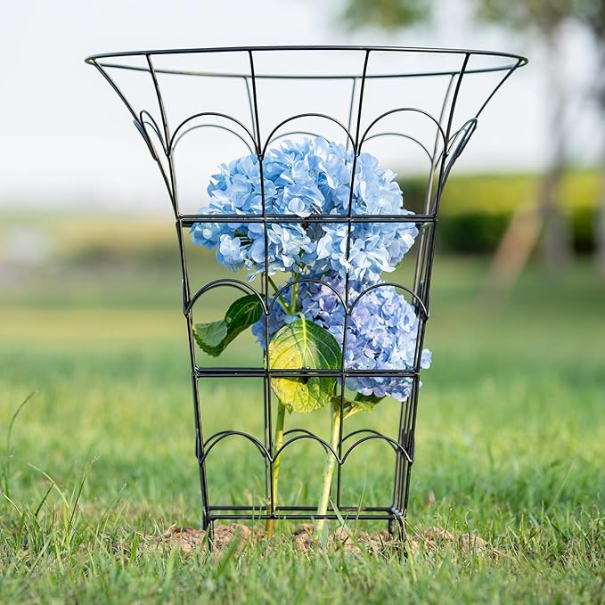 COOOXIM Peony Cages & Supports - Metal Plant Obelisk Trellis for Outdoor Use, 27.5 x 22 Inches, Perfect for Peonies, Roses, and Climbing Vines - Durable Garden Support Ring in M Shape