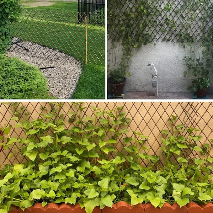 Expandable Willow Lattice Fence Panel Plant Support Garden Trellis for Climbing Vine Ivy Rose Cucumbers Clematis Outdoors Garden Yard, 36X92 Inch(1PC)