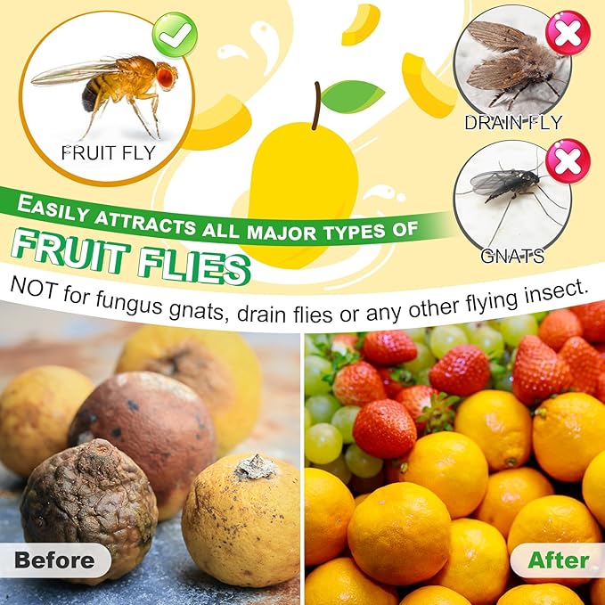 Qualirey Fruit Fly Trap for Indoors, 4 Pack Fruit Fly Trap with 4 Refill Liquid and 60 Yellow Sticky Pads, Safe Near Pets, Food and Kids, Fruit Flies Lure Liquid Trap for Home Kitchen