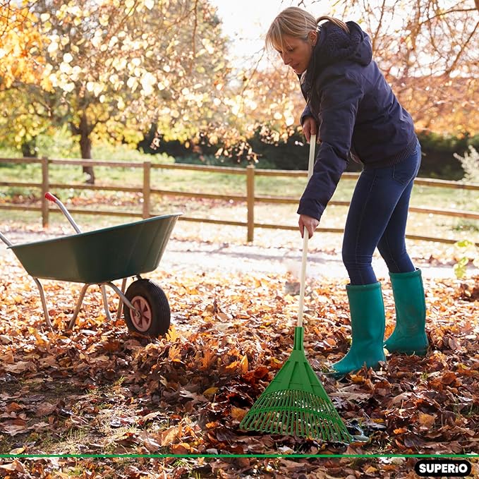 Superio Adult Rake with Hardwood Handle, Durable Plastic Head to Sweep Leaves in Lawn and Tidying Up The Garden, 61" 2-Pack