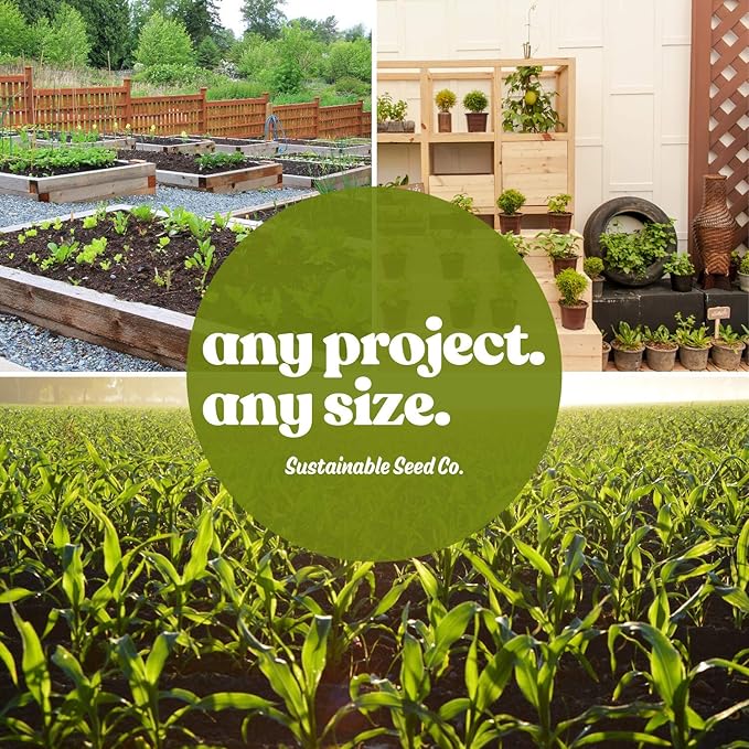 Handy Pantry Black Plastic Garden Tray Inserts - 10 Sheets of 18 Planting Pot Cells Each - 3x6 Configuration - Perforated - Nursery, Greenhouse, Gardening