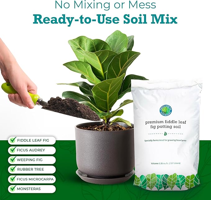 100% Organic Fiddle Leaf Fig Soil – Optimally-Draining Potting Mix for Healthy Roots, Fewer Brown Spots & Faster Growth | Enriched with Biochar & Bark | Made in USA | Large 7.5L Bag