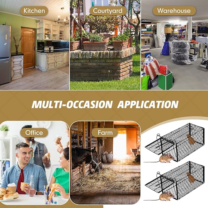 Qualirey 6 Pcs Humane Rat Trap Small Chipmunk Mouse Squirrel Cage Rodent Animal Mice Voles Hamsters Cage Catch and Release Trap for Home Garden Indoor Outdoor(10.6 x 5 x 5 Inch)