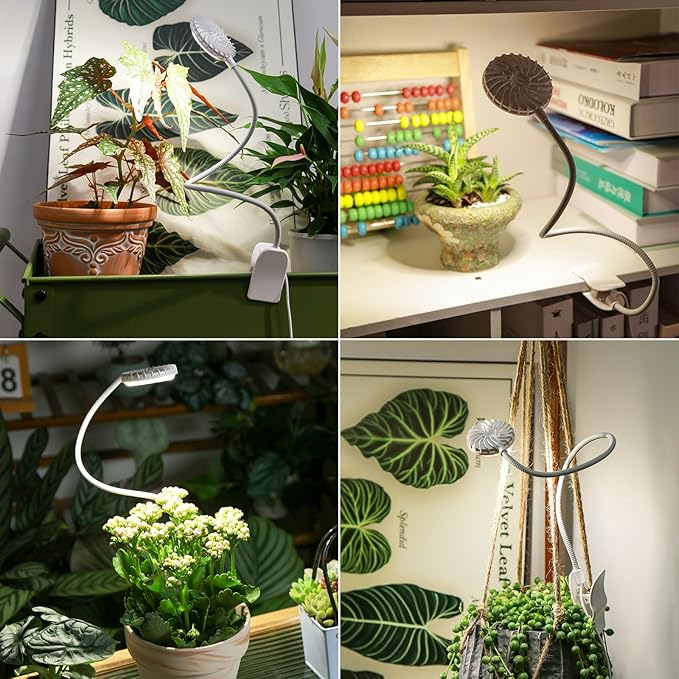 Plant Grow Lights, Full Spectrum Clip Plant Growing Lamp, 4000K LED Grow Light Indoor, 4 Dimmable Levels Adjustable Pot Grow Lamp, Auto On/Off Timing 4/8/12H, White 2 Pack Succulents