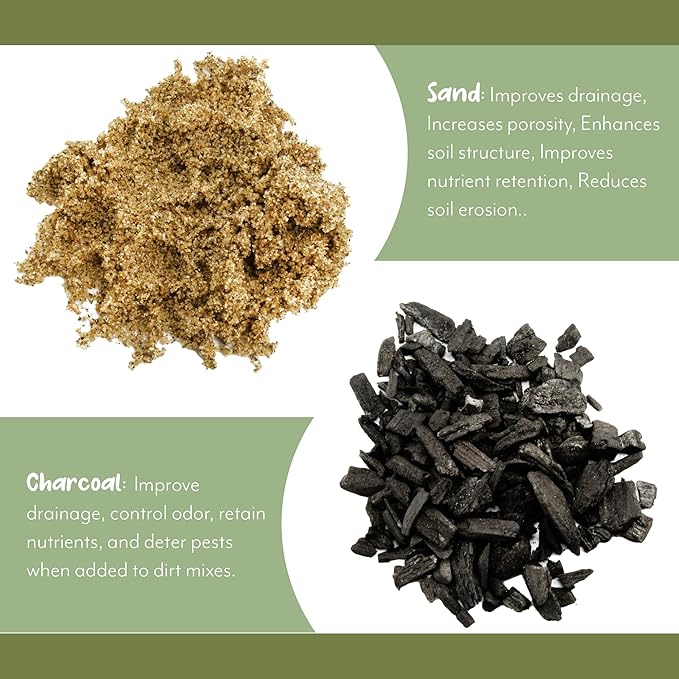 Fern Plant Potting Soil Mix (8 Quarts), Custom Hand Blended Mixture for Indoor/Outdoor Container Gardening