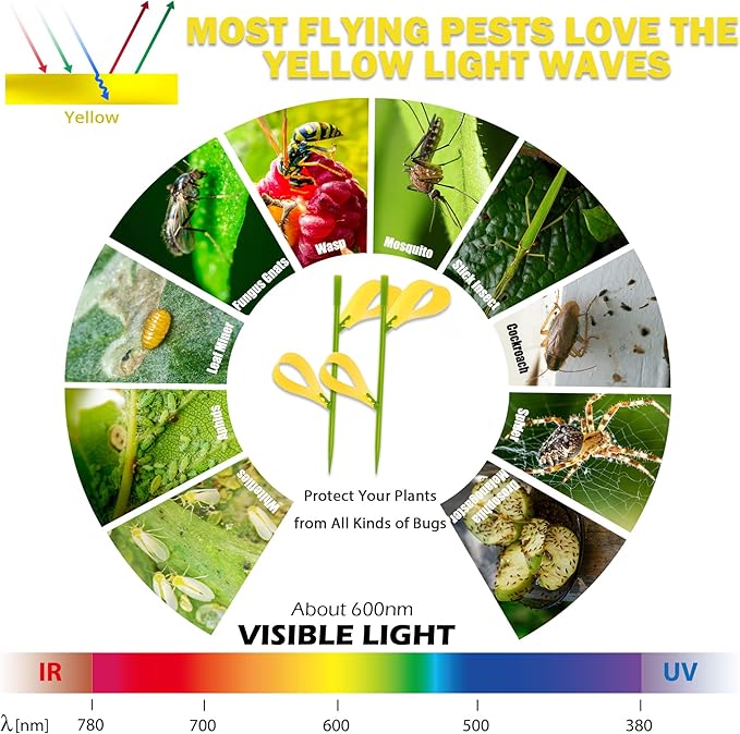 30PCS Fruit Fly Traps for Indoors Gnat Traps for House Indoor Yellow Sticky Traps for Plants Catcher for Whiteflies Fungus Gnat Mosquitoes Thrips... Stake Holders Included