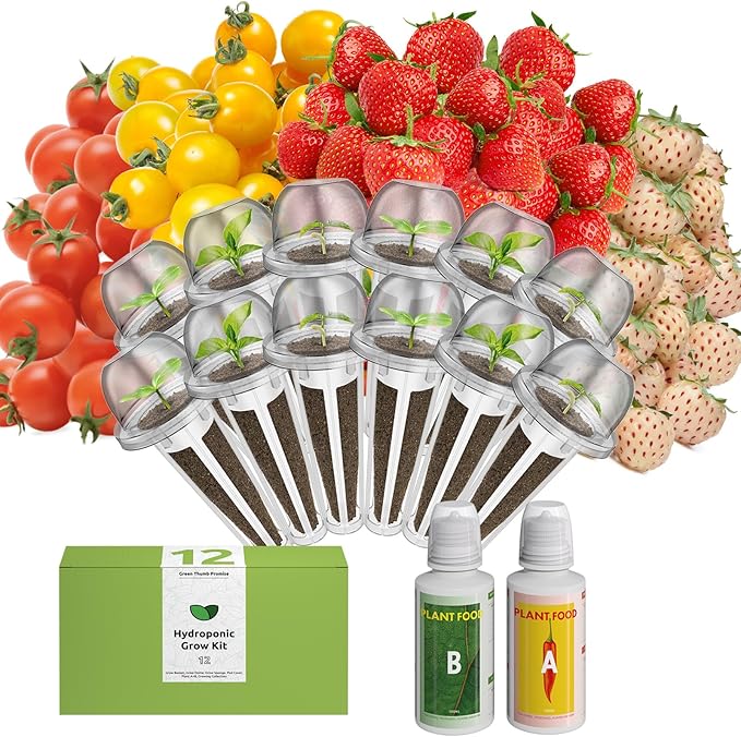inbloom Fruit Seed Pod Kit for for AeroGarden, Ahopegarden Hydroponics Growing System, 12-Pods (350 Seeds+, Include Red Cherry Tomato, Golden Cherry Tomato, White Strawberry, and Red Strawberry)