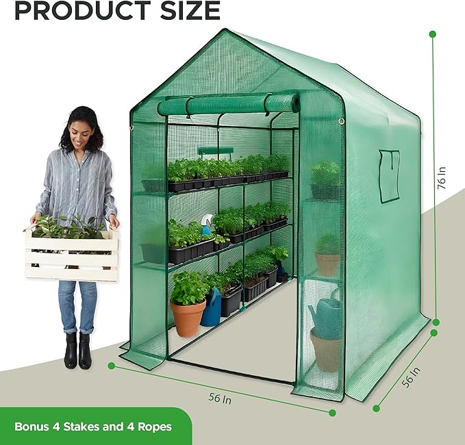 Elly Walk-in Outdoor Greenhouse with Durable PE Cover 56 x 56 x 76 Portable Green House with 2 Mesh Side Windows, Shelf Clips, 3 Tier 8 Shelves Heavy Duty, Plant House with Roll-up Zipper Door