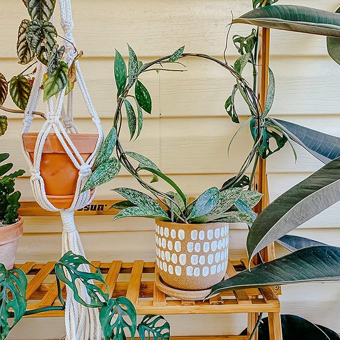 Acrux7 10 Pcs Circle Trellis for Climbing Plants Indoor Small Trellis for Potted Plants Plant Trellis for Hoya Vines Topiary Frames