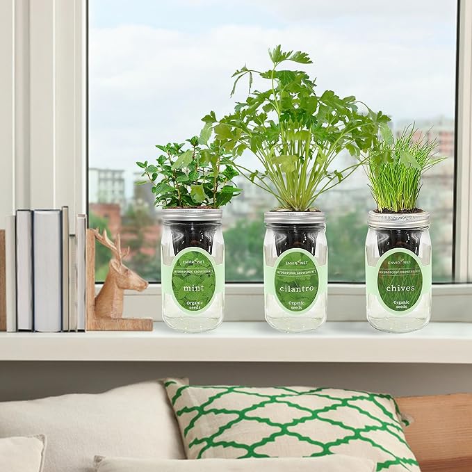 Hydroponic Herb Growing Kit Set, Self-Watering Mason Jar Herb Garden Starter Kit Indoor, Grow Your Own Herbs from Seeds (Cilantro, Mint & Chives)
