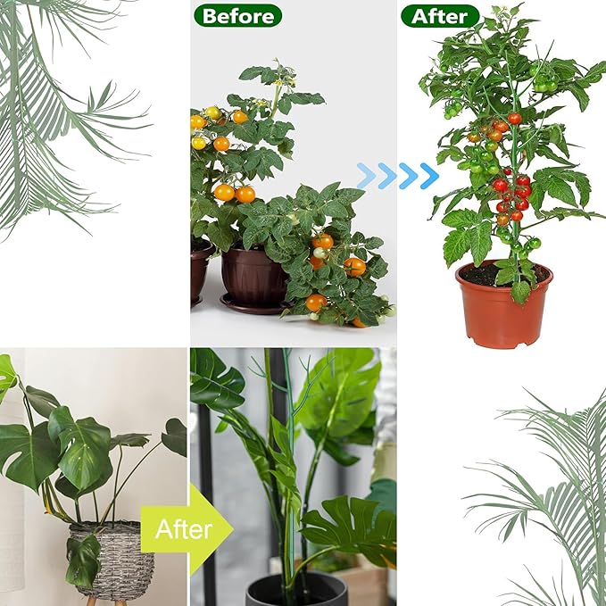 3 Pack Plant Support Stakes for Indoor Plants, Climbing Plant Support Structures for Pothos, Monstera, Philodendron Garden Plant Stakes with Twist Ties, Plant Ties and Scissor