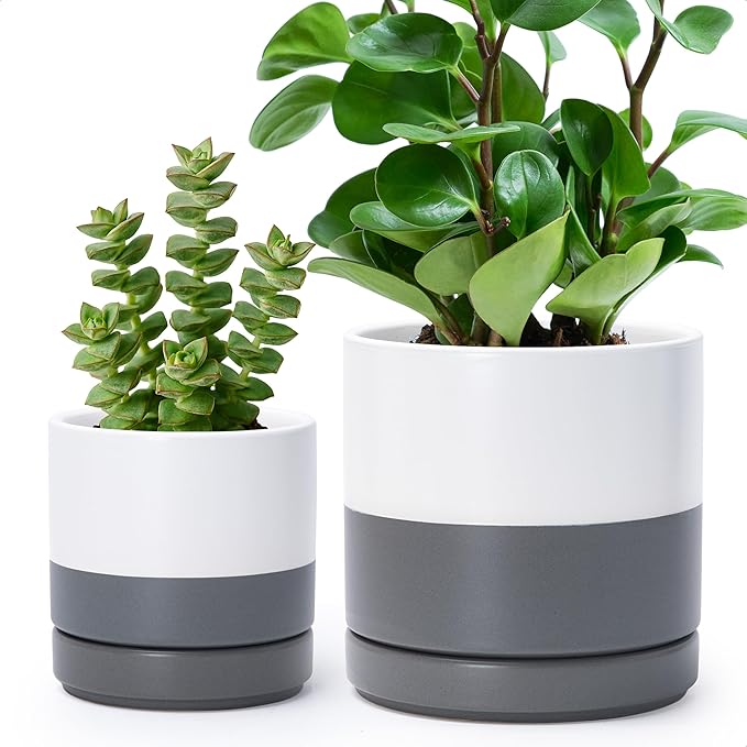 D'vine Dev 4.7 Inch & 6.5 Inch Ceramic Planter Pots for Plants with Drainage Hole and Saucer, Small Plant Pots Set, White/Speckled Grey, 94-G-S-6