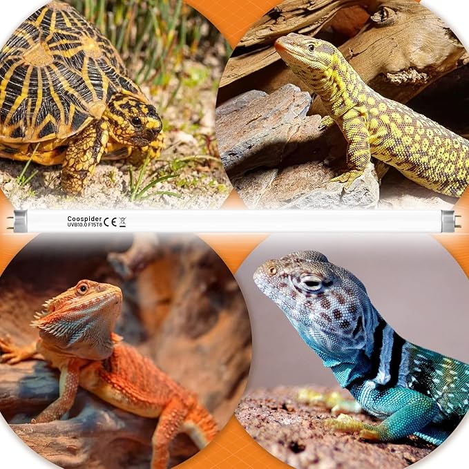 Hypool 2 Pack T8 Strip UVA UVB Reptile Lighting Bulb 18-Inch 15 Watt UVB 10.0 Fluorescent Bulb 10-Percent UVB Desert Pet Habitat Light for Reptiles Amphibian