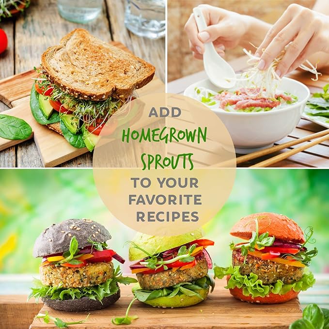 Handy Pantry Complete Sprouts Growing Kit | Sprouting Kit with 3 Stackable Sprouting Trays | Seed Sprouter, BPA-Free | Includes Organic Sprouting Seeds & Instructions