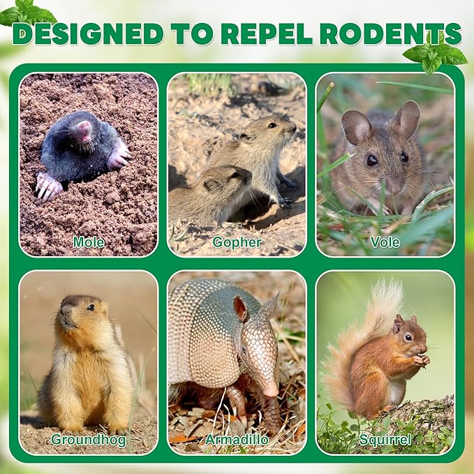 36 Pack Mole Repellent, Long-Lasting Protection for Gardens Yards, Waterproof Rodent Repellent for Gopher, Groundhog, Vole, Chipmunk, Skunk, Armadillo, Outdoor Mole Deterrent, Safe for Humans & Pets