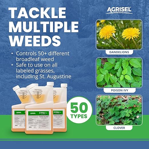 3 Way Max Weed Killer, Eliminate 50+ Weeds, Safe on Grass, Weed Spray, Pet Safe, Low Odor, Easy Mixing, Includes 3-Pack of Agrisel Protective Gloves, 32 Ounces