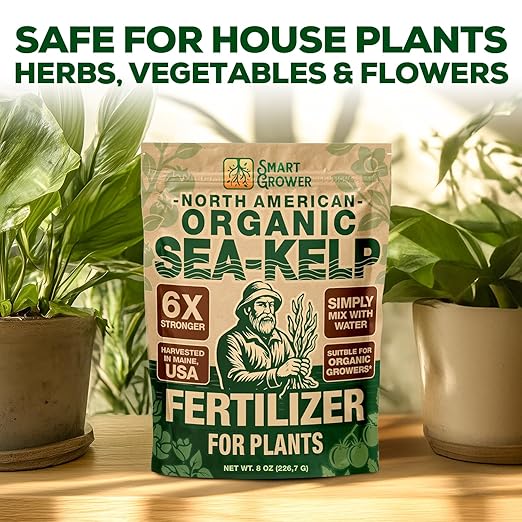 Organic Sea Kelp Fertilizer for Plants – Water-Soluble – Makes 200 Gallons – Kelp Meal Concentrate Plant Food – for Indoor Gardens, Hydroponics, Vegetables, Houseplants - Smart Grower - 8oz Bag