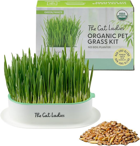 The Cat Ladies Hydroponic Cat Grass Growing Kit - Pet Grass Seed for Indoor Cats - Fast Growing Soil Free Catnip Plant Seeds to Grow Kitten Safe Plants - Just Add Water