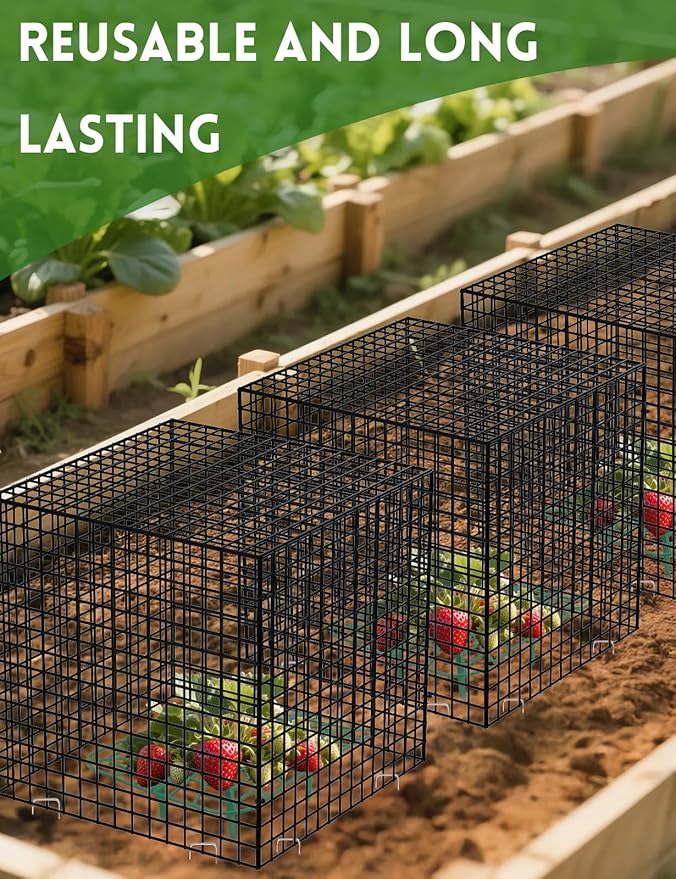 5 Pack Plant Protector from Animals, Square Metal Plant Cages Chicken Wire Cover Mesh Plant Cage, Garden Plant Protector for Plants Flower Vegetable to Keep Animals Out (12x12 in)