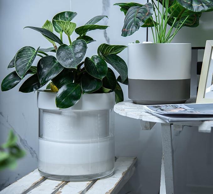 Phoenix Vine 10 Inch Self Watering Planter, White Terracotta Clay Pot with Glass Reservoir for Indoor Plants, Herbs, Flowers, Set of 1, 52-B-I-1