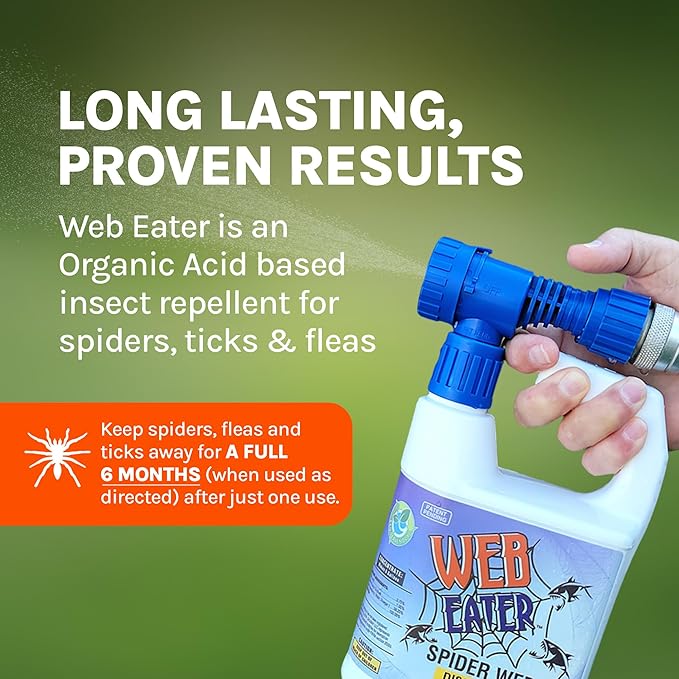 1 Gallon Concentrated Spider Web Washaway Spray with Nozzle- Natural & Long Lasting up to 6 Months