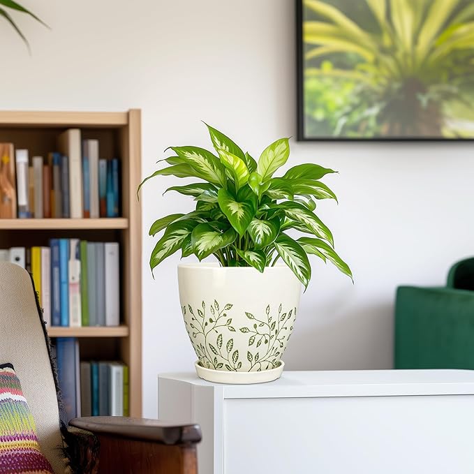 6.8 Inch Plant Pot - Ceramic Pot for Indoor Outdoor Plants, Boho Decorative Round Ceramic Planter with Drainage Hole and Saucer, Housewarming Gifts, Office Garden Home Decor, White