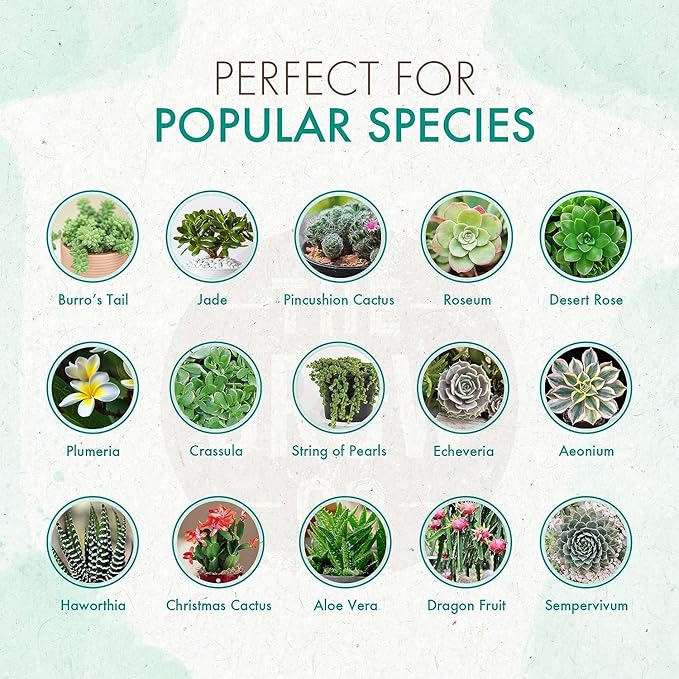 Succulents & Cactus Plant Food - Gentle Long Lasting Formula, Slow Release Fertilizer (Liquid Alternative) for All Potted Succulent, Cacti & Aloe Vera Plants (5 oz)