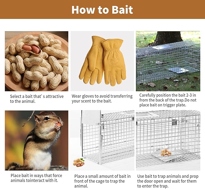 32" Humane Animal Cage Trap, Live Animal Cage Trap, Folding Animal Trap for Stray Cats, Raccoons, Rabbits, Skunks, Moles, Groundhogs and Armadillos up to 17 lbs