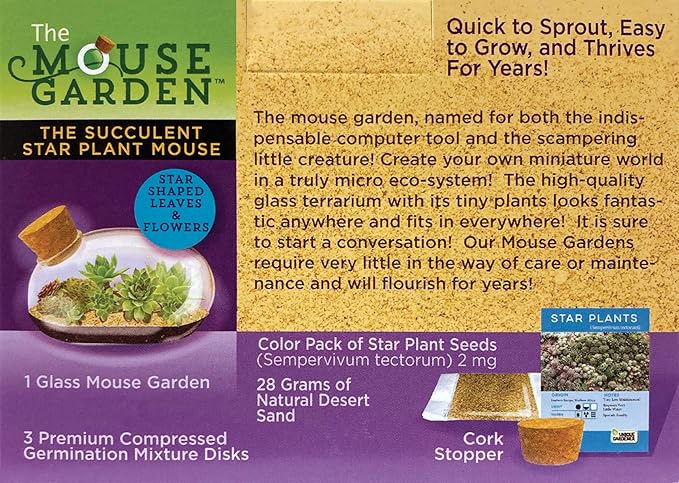 Grow Your Own Succulent Star Plant Mouse with Our Glass Terrarium Starter Kit - Fun and Easy to Grow with Complete Supplies - Plant A Mouse Garden That Will Last for Years - Great for Home Or Office