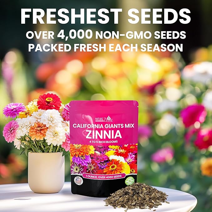 NatureZ Edge Zinnia Seeds for Planting Outdoors – California Giants Flower Seeds, Bulk Semillas de Flores para Sembrar, 1 Oz