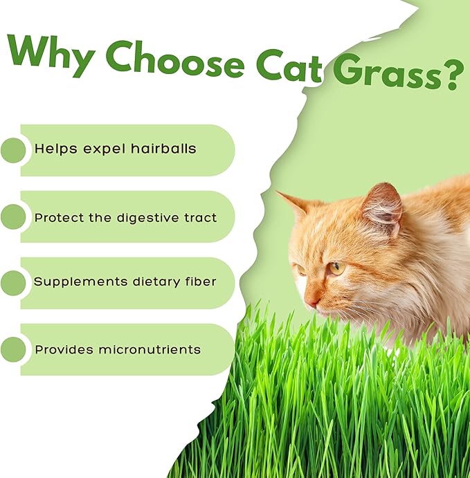 Cat Grass Kit for Indoor Cat, Organic Grass Growing Kit with Seeds, Soil and Planting Tools, Quick Germination, Perfect for Beginners, 3-Pack Plastic Pots