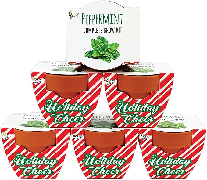 BUZZY Seeds Terracotta Holiday Mini Grow Pot Candy Cane | Peppermint 6-Pack | Herb, Plant Starter Kit for Kids & Adults | Guaranteed to Grow | Best Indoor Gardening Gifts, Favors, Stocking Stuffers