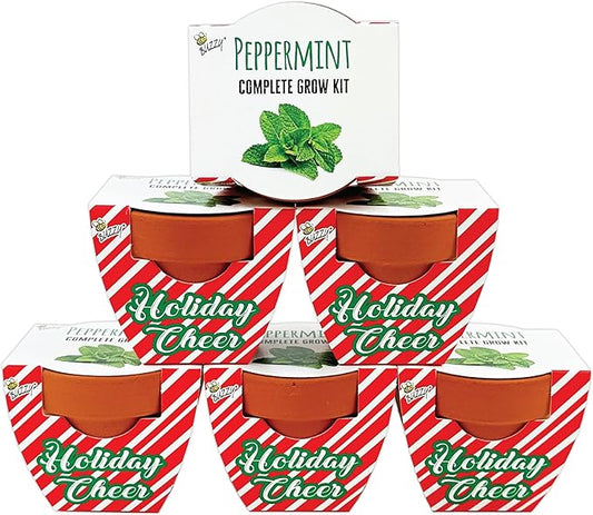 BUZZY Seeds Terracotta Holiday Mini Grow Pot Candy Cane | Peppermint 6-Pack | Herb, Plant Starter Kit for Kids & Adults | Guaranteed to Grow | Best Indoor Gardening Gifts, Favors, Stocking Stuffers