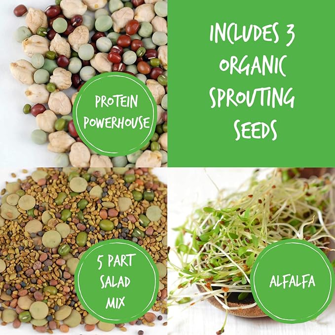 Handy Pantry Complete Sprouts Growing Kit | Sprouting Kit with 3 Stackable Sprouting Trays | Seed Sprouter, BPA-Free | Includes Organic Sprouting Seeds & Instructions